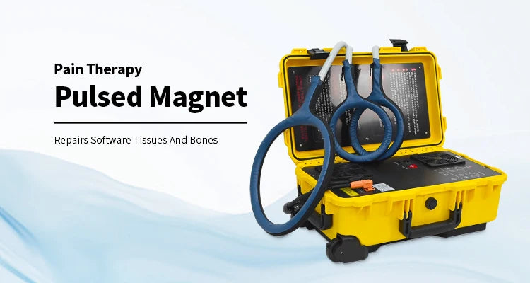 Wantrol Magneto Therapy Pain Relief PEMF Physiotherapy Device