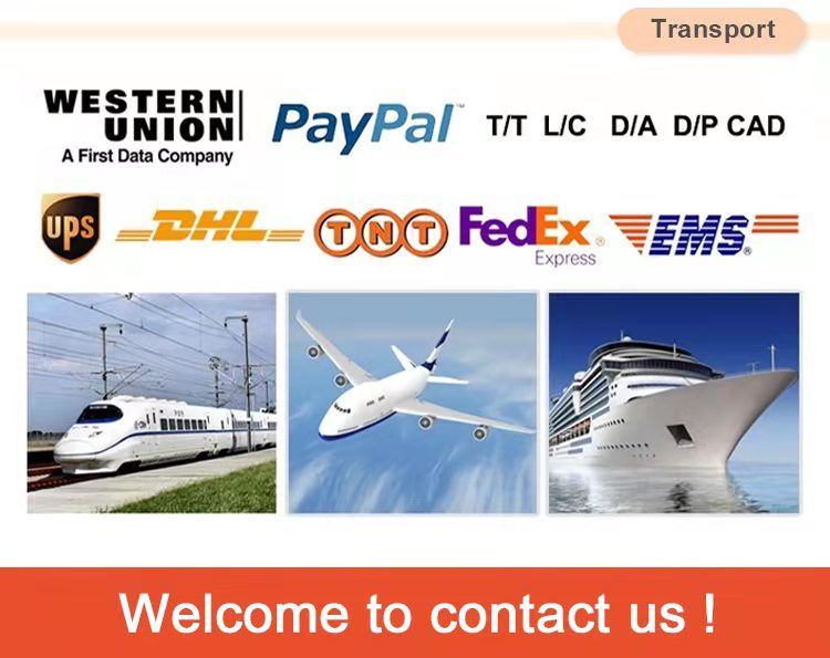 Wantrol Magneto Therapy Pain Relief PEMF Physiotherapy Device